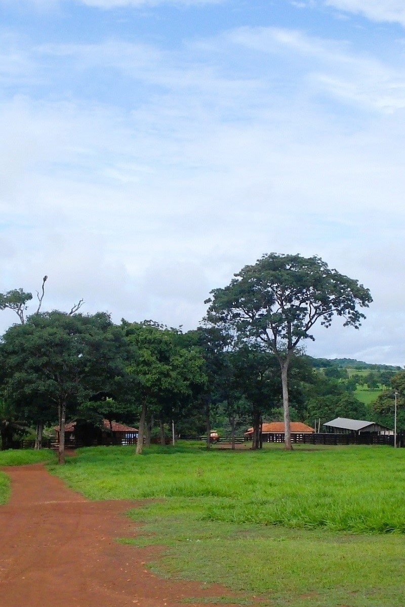 Fazenda