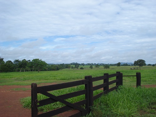 Fazenda